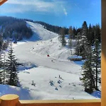 Almzauber - Haus Enzian Inkl Infrarotliegen Chalet *