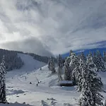 Chalet Almzauber - Haus Enzian Inkl Infrarotliegen Hochrindl