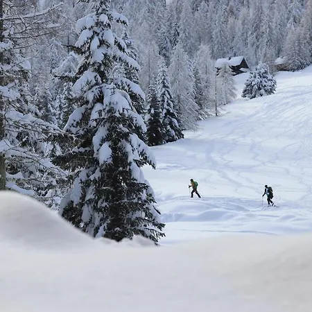 Almzauber - Haus Enzian Inkl Infrarotliegen *