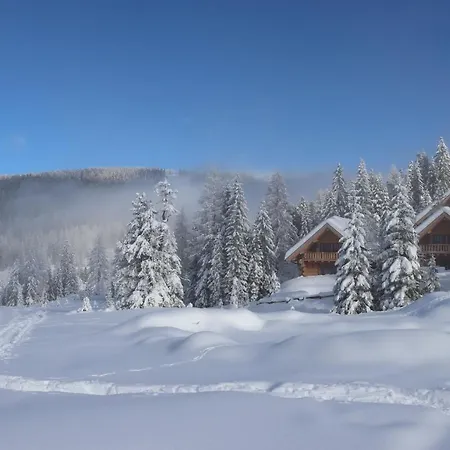Almzauber - Haus Enzian Inkl Infrarotliegen Alpesi faház