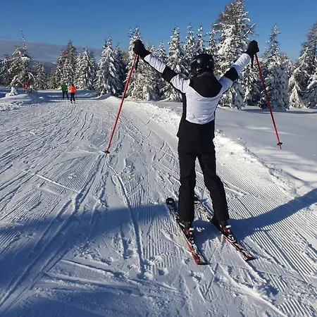 Almzauber - Haus Enzian Inkl Infrarotliegen * Hochrindl