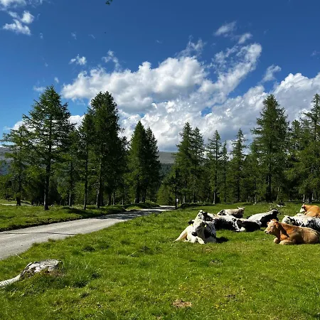 Dağ evi Almzauber - Haus Enzian Inkl Infrarotliegen