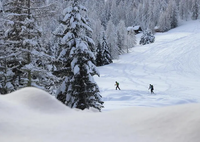 Almzauber - Haus Enzian Inkl Infrarotliegen *