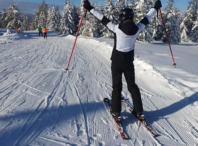 Almzauber - Haus Enzian Inkl Infrarotliegen * Hochrindl