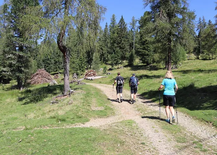 Almzauber - Haus Enzian Inkl Infrarotliegen *