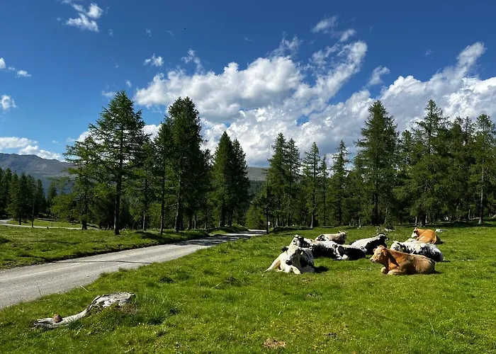 Domek alpejski Almzauber - Haus Enzian Inkl Infrarotliegen