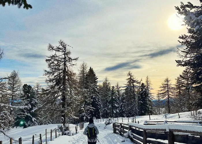 Almzauber - Haus Enzian Inkl Infrarotliegen
